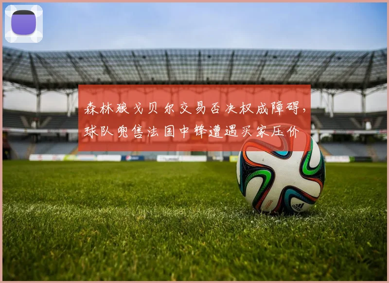森林狼戈贝尔交易否决权成障碍,球队兜售法国中锋遭遇买家压价