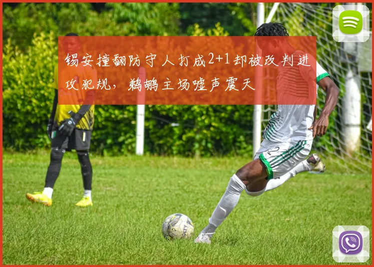 锡安撞翻防守人打成2+1却被改判进攻犯规，鹈鹕主场嘘声震天
